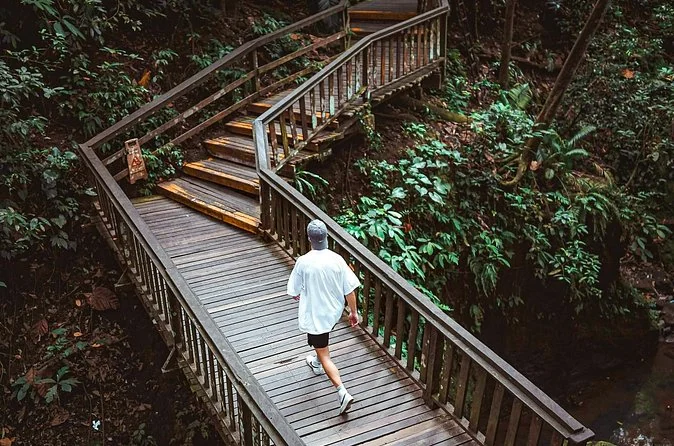 Ubud Tour: Monkey Forest, Ridge Walk & Rice Terrace