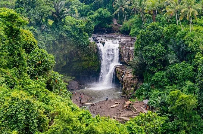 Private Ubud Custom Day Trip