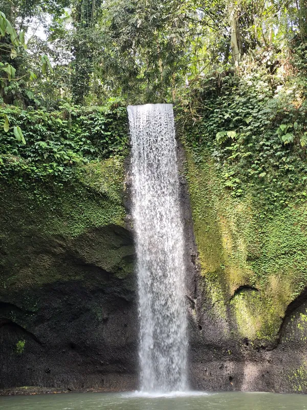 Bali Private Driver for a Day
