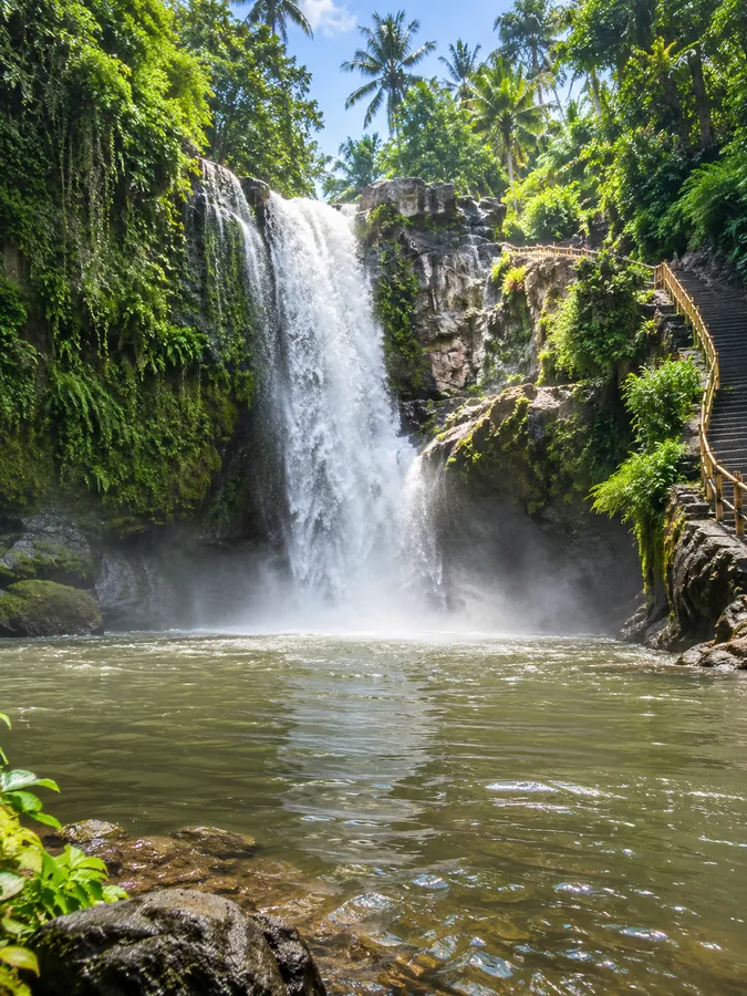 A tall waterfall falling into a green pool in Bali jungle sunlight